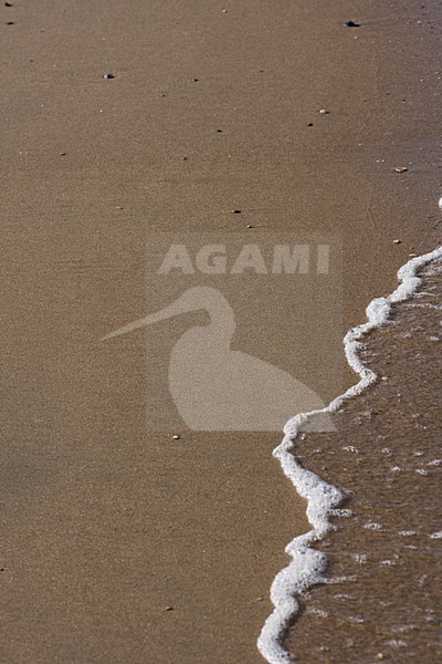 Shore, background stock-image by Agami/Bas Haasnoot,