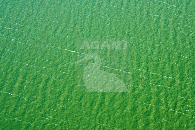Luchtfoto van de Friesland; Aerial photo of Friesland stock-image by Agami/Marc Guyt,