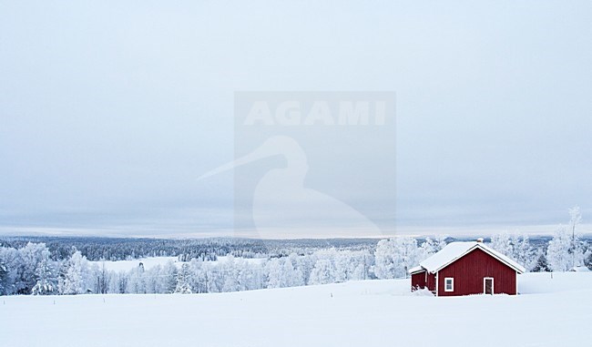 Kuusamo, Finland stock-image by Agami/Marc Guyt,
