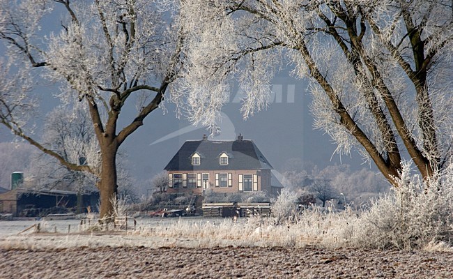 Ooijpolder op koude dag; Ooijpolder on cold day stock-image by Agami/Harvey van Diek,