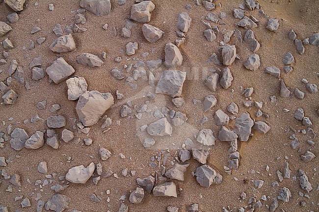 Landscape of central desert of Oman stock-image by Agami/Ralph Martin,