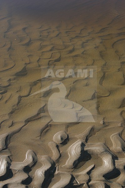 Beach; Strand stock-image by Agami/Menno van Duijn,