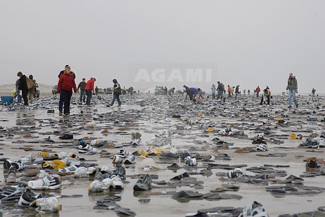 People collecting cargo spill on the beach; Strandjutters Terschelling stock-image by Agami/Arie Ouwerkerk,