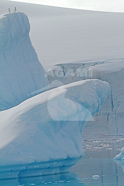 Gerlache Straits scenery, Antarctica stock-image by Agami/Pete Morris,