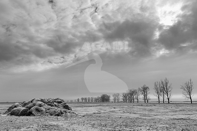 Winters landschap, Winter landscape stock-image by Agami/Rob de Jong,