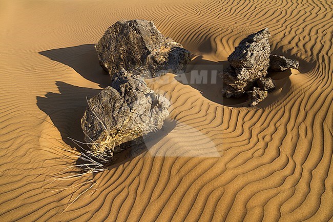 Landscape of central desert of Oman stock-image by Agami/Ralph Martin,