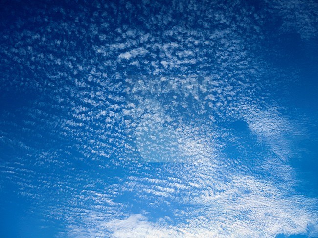 Lucht met wolken; sky with clouds stock-image by Agami/Marc Guyt,