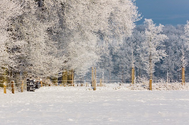 Winter in Vecht en Beneden Rogge; Winter in Vecht en Beneden Rogge stock-image by Agami/Theo Douma,