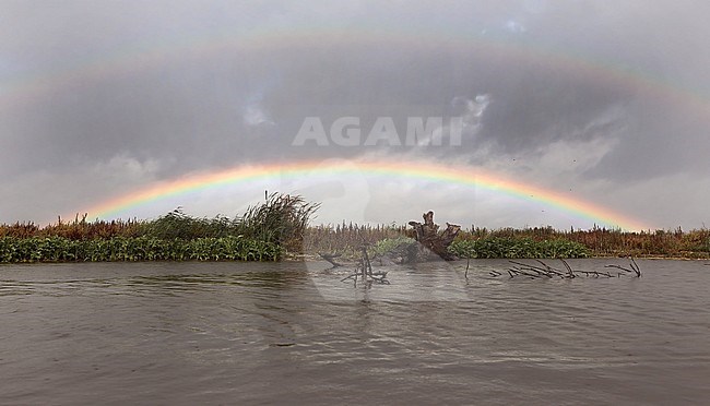 Landscape the Markerwadden with rainbow after rain stock-image by Agami/Jacques van der Neut,