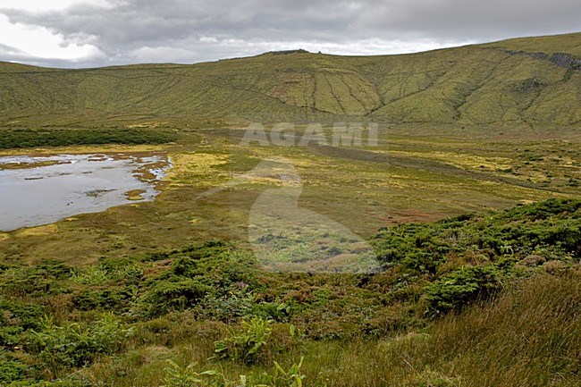 Landschap Azoren; Landscape Azores stock-image by Agami/Daniele Occhiato,