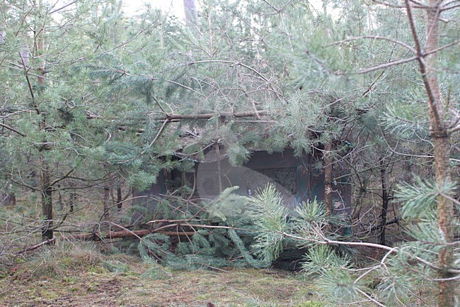 Hide Netherlands, Observatiehut Nederland stock-image by Agami/Chris van Rijswijk,