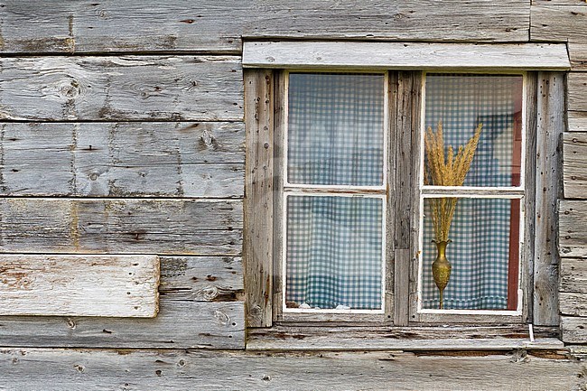 Window, widow of wooden house with curtain stock-image by Agami/Saverio Gatto,