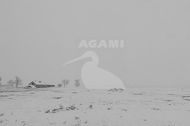 Boerderij in winters landschap, Farm in winter landscape stock-image by Agami/Rob de Jong,