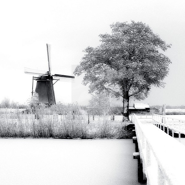 Winterlandschap met molen; Winter landscape with windmill stock-image by Agami/Bas Haasnoot,