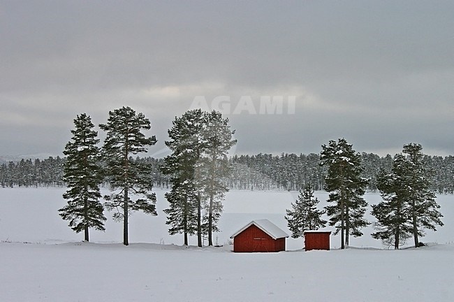 Hut in sneeuwlandschap; Shack in winter landscape stock-image by Agami/Kristin Wilmers,