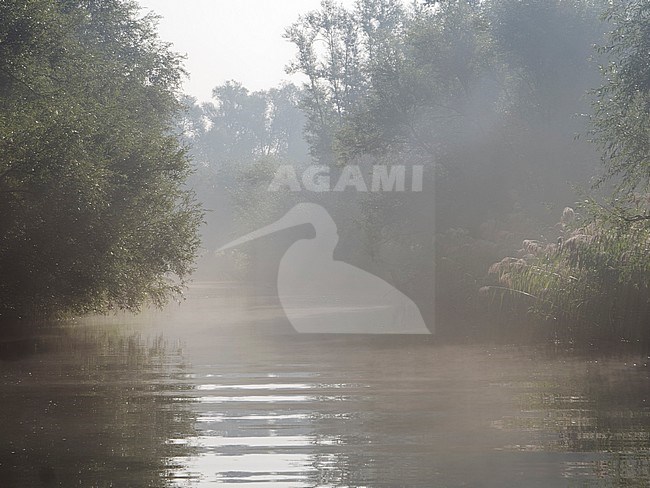 Creek Biesbosch  in a foggy landscape stock-image by Agami/Rob Riemer,