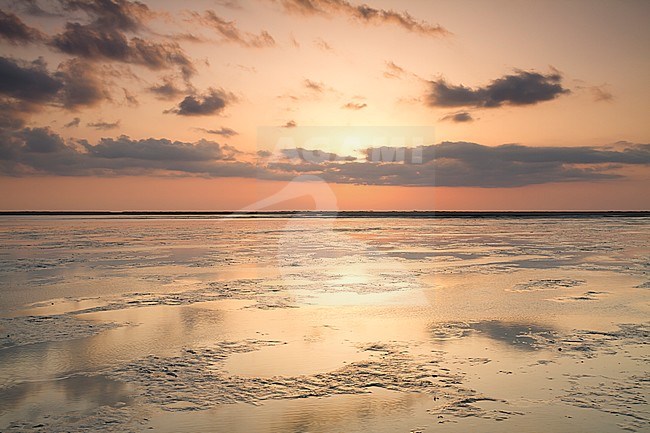 Barr al Hikman, Oman coast stock-image by Agami/Ralph Martin,