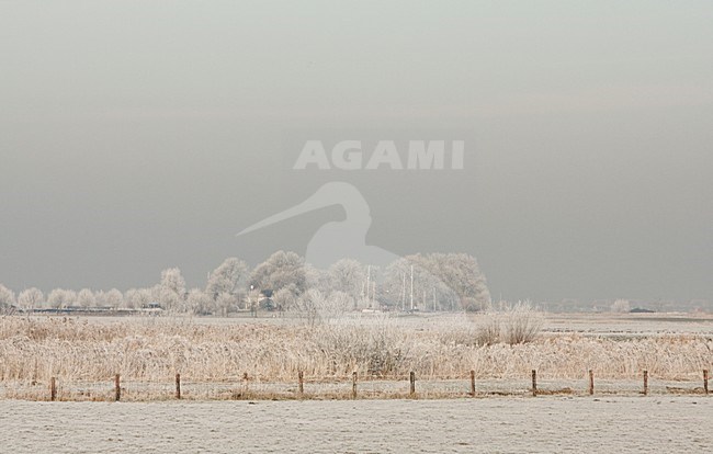 De Eempolder bedekt met rijp Nederland, The Eempolder covered with hoar-frost Netherlands stock-image by Agami/Wil Leurs,