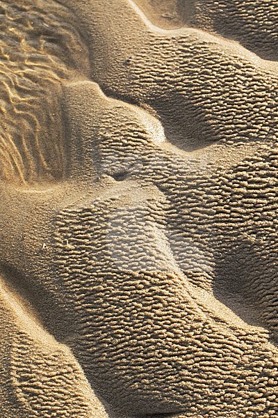 Sand structures at the beach stock-image by Agami/Wil Leurs,