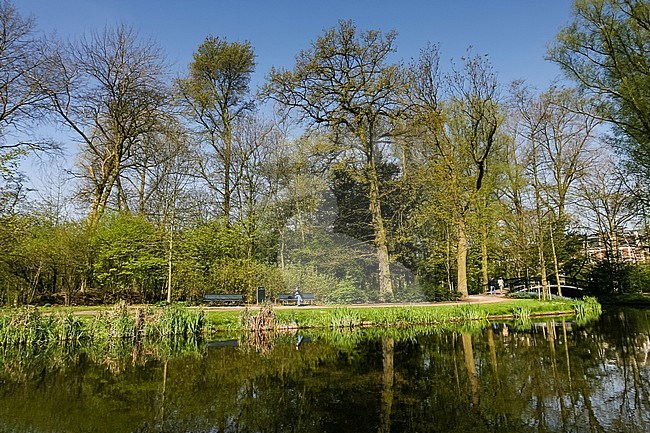 Park in Amsterdam in het voorjaar; Park in Amsterdam in spring stock-image by Agami/Marc Guyt,
