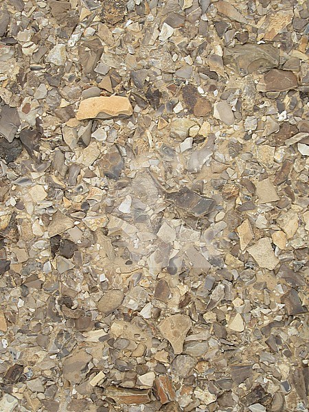 Dry desert ground covered with little rocks, in the southern Negev desert in Israel. stock-image by Agami/Marc Guyt,