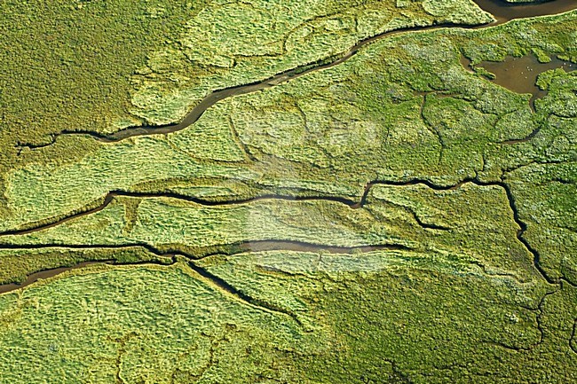 Luchtfoto van Schiermonnikoog, Oosterkwelder; Aerial photo of Schiermonnikoog, Oosterkwelder stock-image by Agami/Marc Guyt,