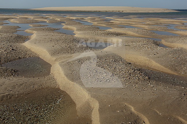 Ria Formosa lagoon is een rust- en foerageergebied voor trekvogels; Ria Formosa lagoon is a important stop over site for migrating birds stock-image by Agami/Jacques van der Neut,