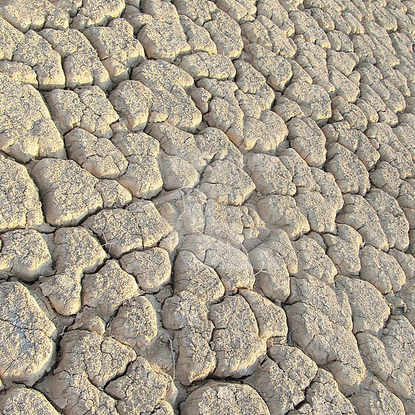 Dried out river bed (wadi) in Negev desert of Israel around the Dead Sea. stock-image by Agami/Marc Guyt,