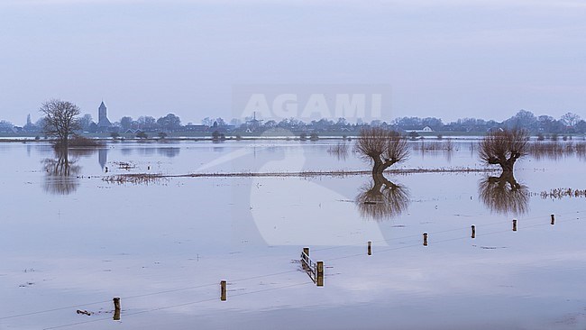 IJssel hoog water, IJssel high water stock-image by Agami/Eric Tempelaars,