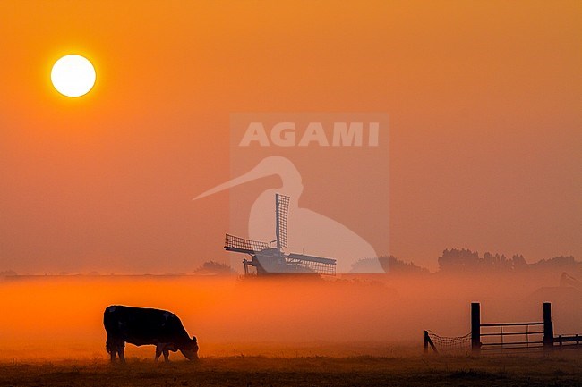 Windmolen, Windmill stock-image by Agami/Menno van Duijn,