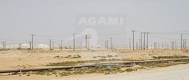 Oil fields in Northern Oman stock-image by Agami/Ralph Martin,