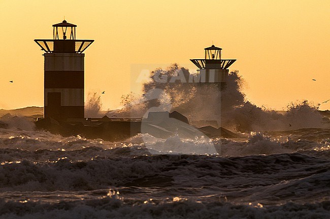 Winter storm North Sea at sunset with two lighthouses in the waves with gulls stock-image by Agami/Menno van Duijn,