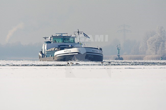 Vrachtschip in dicht gevroren Nijkerkernauw Nederland, Cargo ship in frozen Nijkerkernauw Netherlands stock-image by Agami/Wil Leurs,