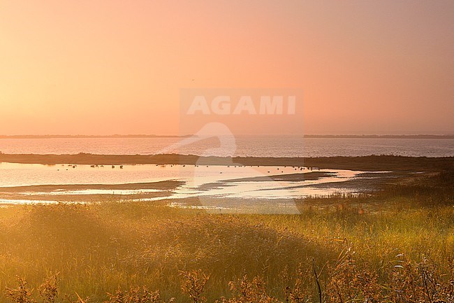 Zonsopkomst met nevel Verzakking, sunrise with haze Verzakking stock-image by Agami/Rob Riemer,