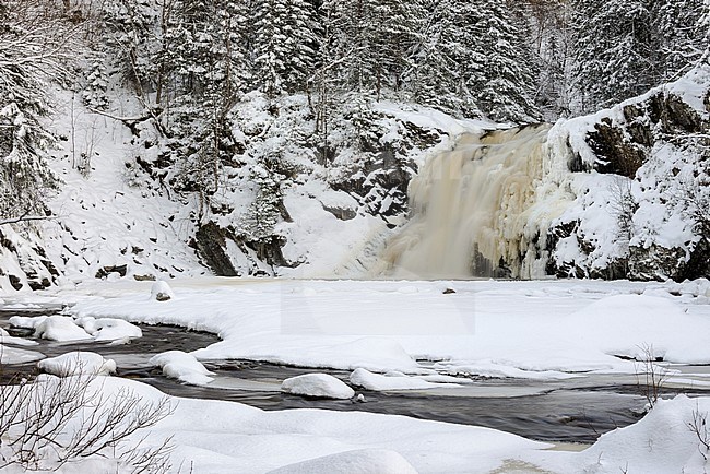 Waterval Homla rivier in sneeuwlandschap, waterfall Homla river in snow landscape stock-image by Agami/Rob Riemer,