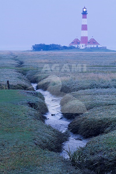 Saltmarsh at Lighthouse Westerhever, in the German Wadden Sea. stock-image by Agami/Ralph Martin,