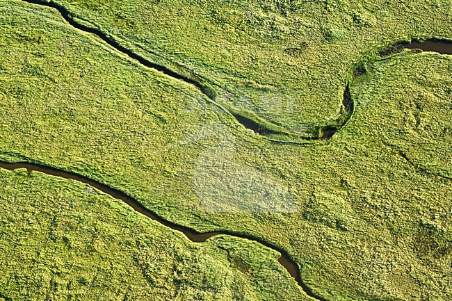 Luchtfoto van Schiermonnikoog, Oosterkwelder; Aerial photo of Schiermonnikoog, Oosterkwelder stock-image by Agami/Marc Guyt,