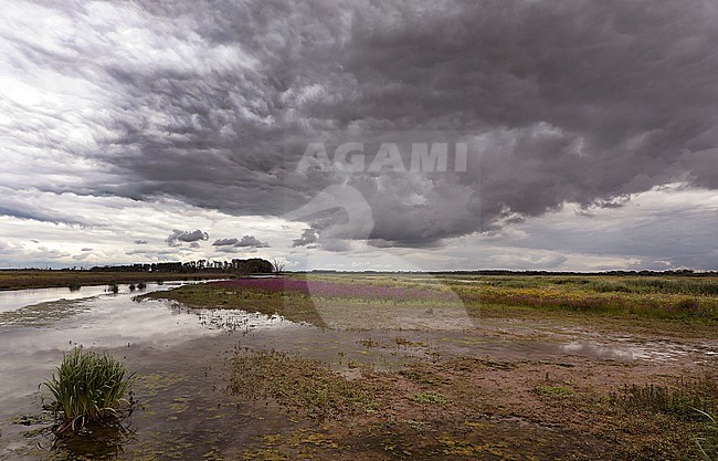 Dreigende wolkenlucht boven polderland in Werkendam. stock-image by Agami/Jacques van der Neut,