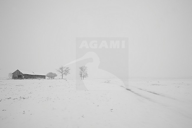 Boerderij in winters landschap, Farm in winter landscape stock-image by Agami/Rob de Jong,