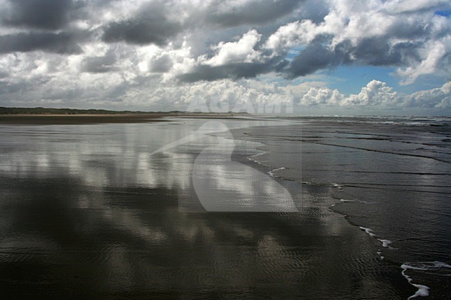 Strand Terschelling, Beach Terschelling stock-image by Agami/Bas Haasnoot,