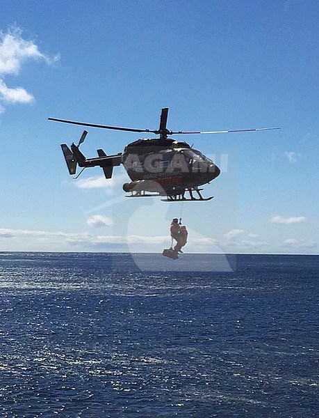 Emergency helicopter evacuation rescue in the Auckland islands during an expedition cruise in subanarctic new Zealand. Getting wounded crew member off the cruise ship. stock-image by Agami/Marc Guyt,