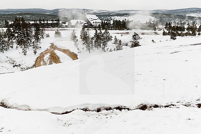 Overview of snowy Old Faithful area at Yellowstone National Park stock-image by Agami/Caroline Piek,