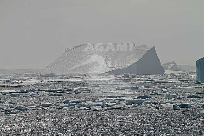 Weddell Sea Scenery, Antarctica stock-image by Agami/Pete Morris,