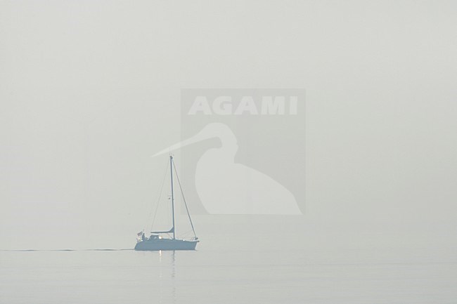 Boot op het IJsselmeer, Boat at IJsselmeer stock-image by Agami/Wil Leurs,