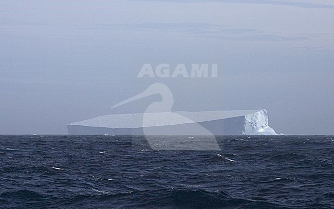 Iceberg Antarctica; IJsberg Antarctica stock-image by Agami/Marc Guyt,