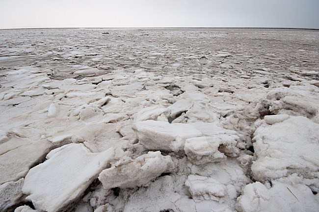 Waddenzee in winter stock-image by Agami/Menno van Duijn,