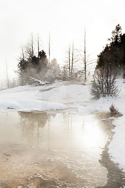 Thermische bron in Yellowstone; Hot Spring at Yellowstone stock-image by Agami/Caroline Piek,