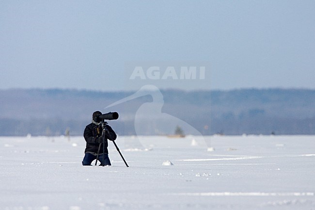 Natuurfotograaf in Japan; Nature photographer in Japan stock-image by Agami/Marc Guyt,