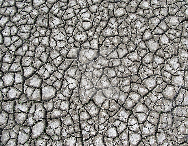 Landscape coast of Wadden Sea near Lauwersmeer, Friesland, Netherlands. stock-image by Agami/Marc Guyt,