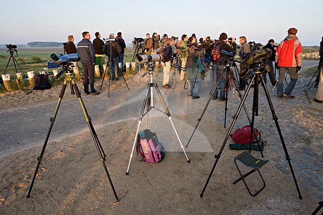 Vogelaars in actie; Birdwatchers in action stock-image by Agami/Marc Guyt,